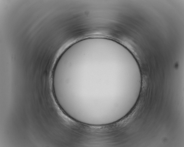 X0000091561474200708171051