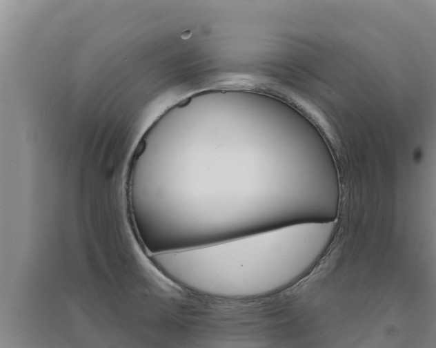 X0000091561475200708171051