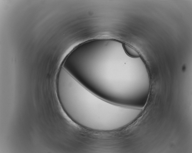 X0000091561476200708171051
