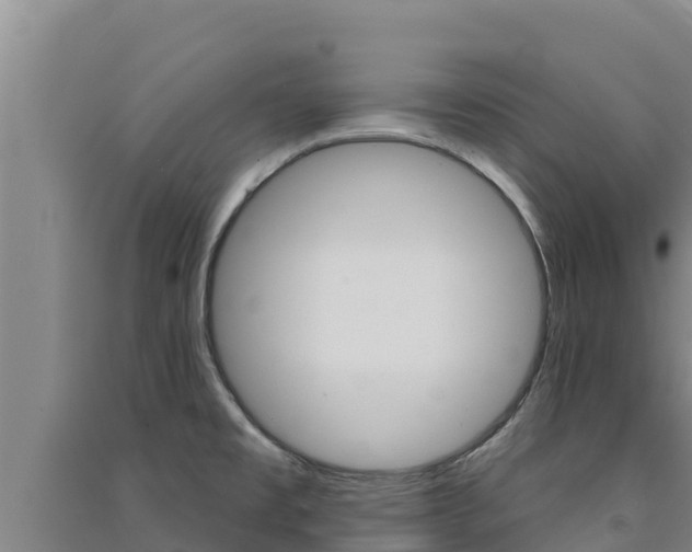 X0000091561477200708171051