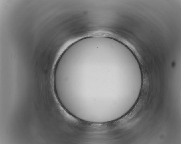 X0000091561478200708171051