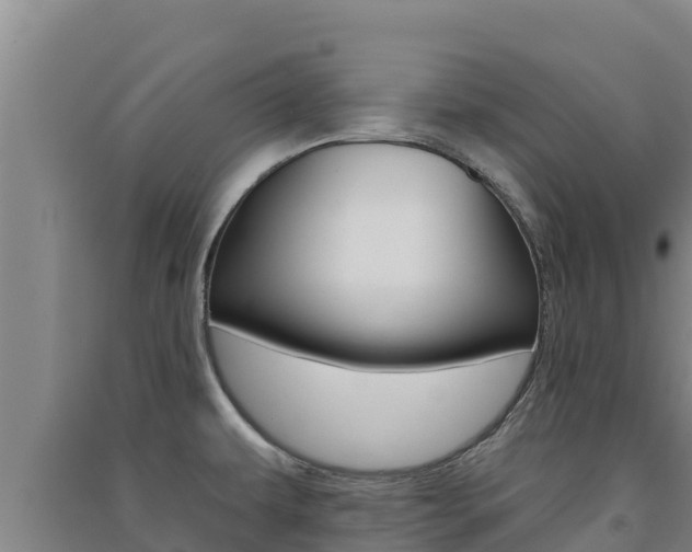 X0000091561479200708171051