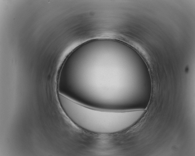 X0000091561480200708171051