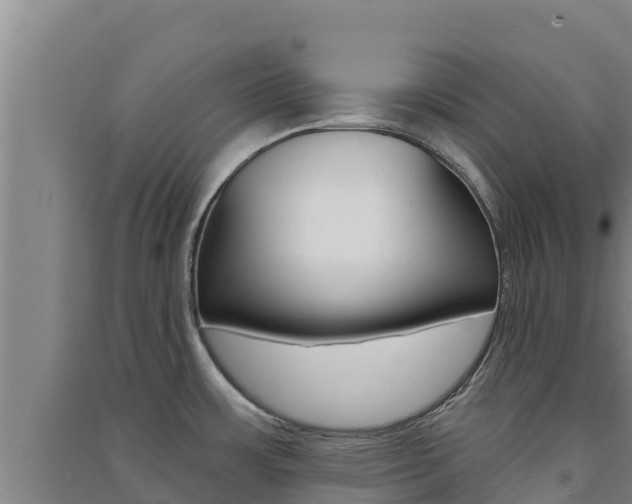 X0000091561483200708171051