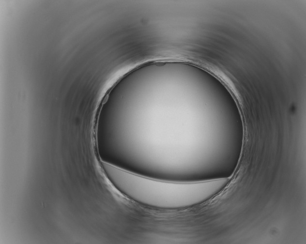 X0000091561485200708171051