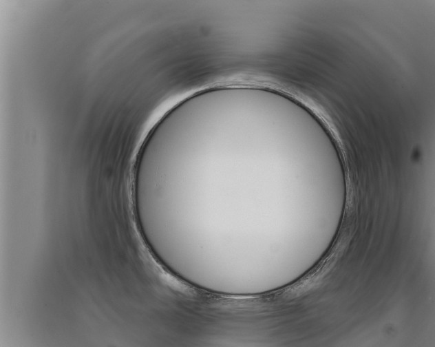 X0000091561486200708171051