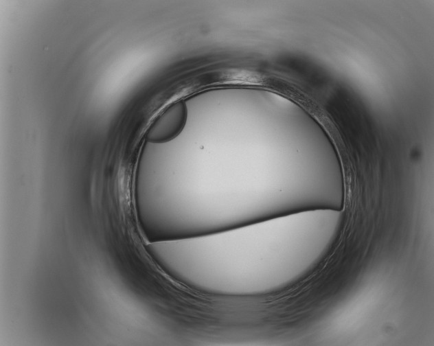 X0000091561487200708171051