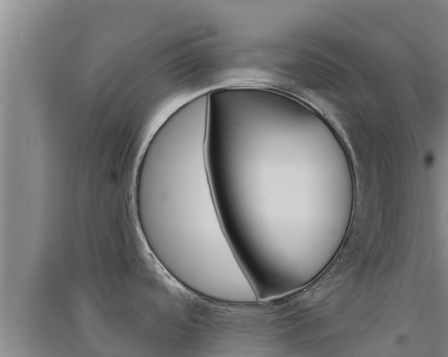 X0000091561488200708171051