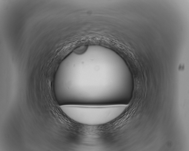 X0000091561489200708171050