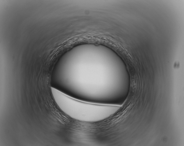 X0000091561490200708171050