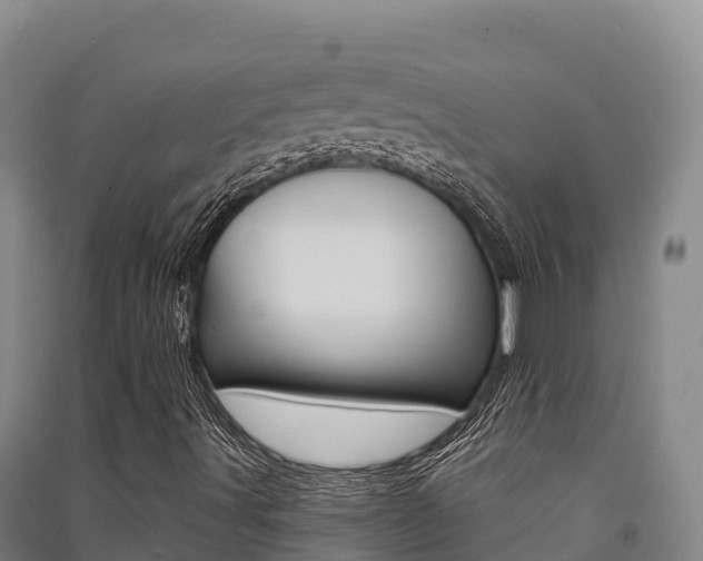 X0000091561491200708171050
