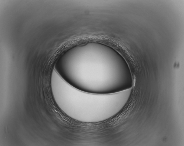 X0000091561492200708171050