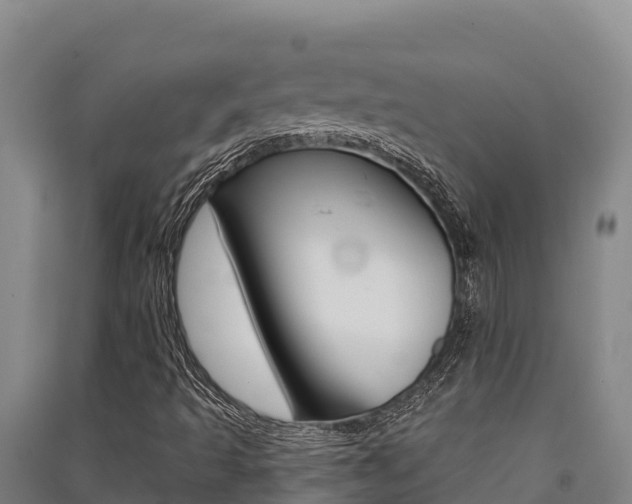 X0000091561493200708171050