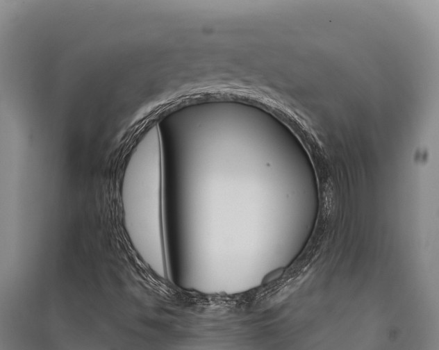 X0000091561494200708171050