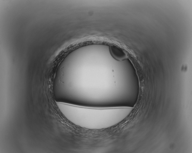 X0000091561495200708171050