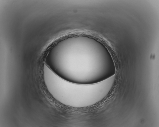 X0000091561496200708171050