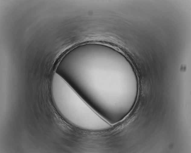 X0000091561497200708171050