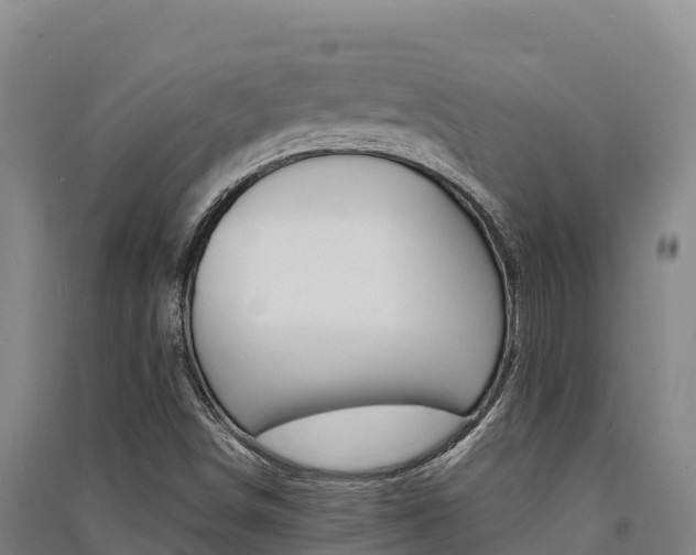 X0000091561498200708171050