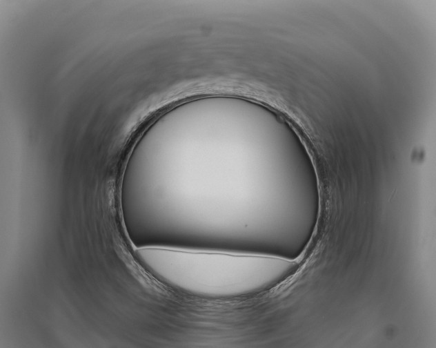 X0000091561499200708171050