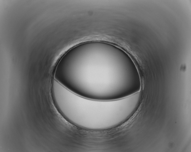 X0000091561500200708171050