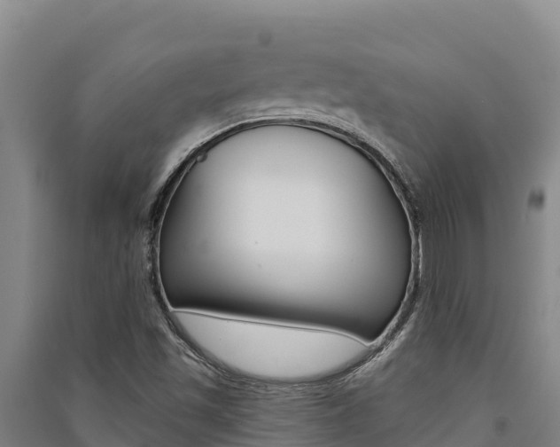 X0000091561501200708171050