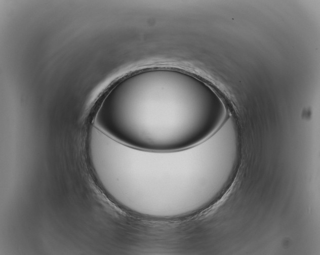 X0000091561502200708171050