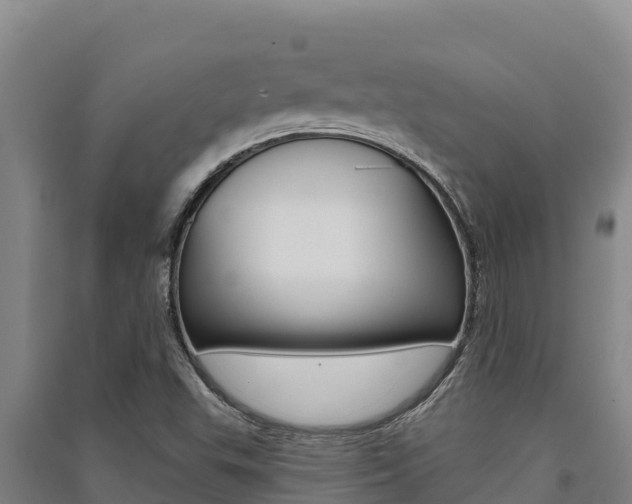 X0000091561503200708171050
