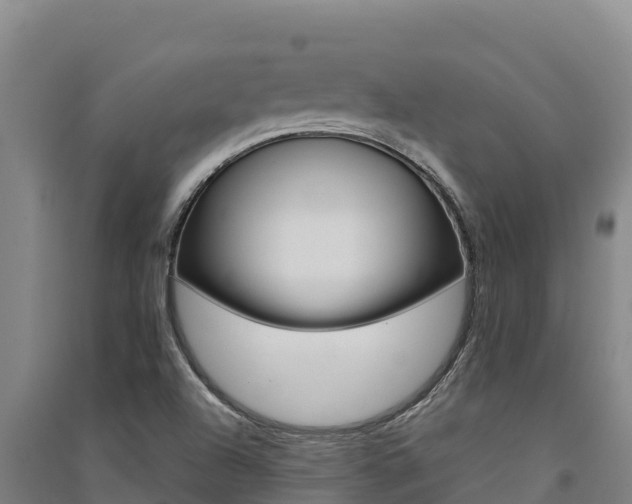 X0000091561504200708171050