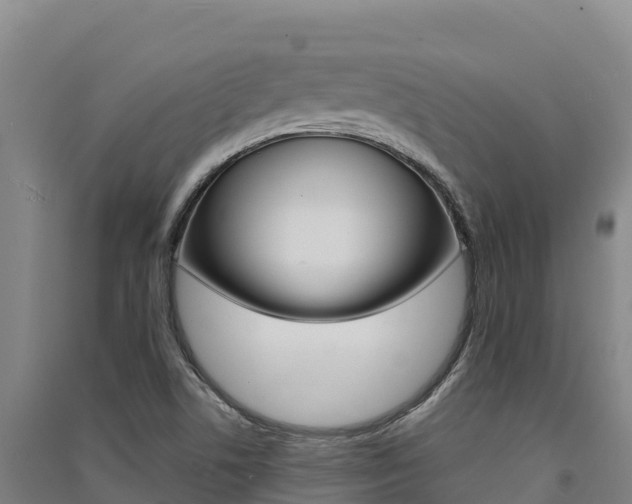 X0000091561506200708171050