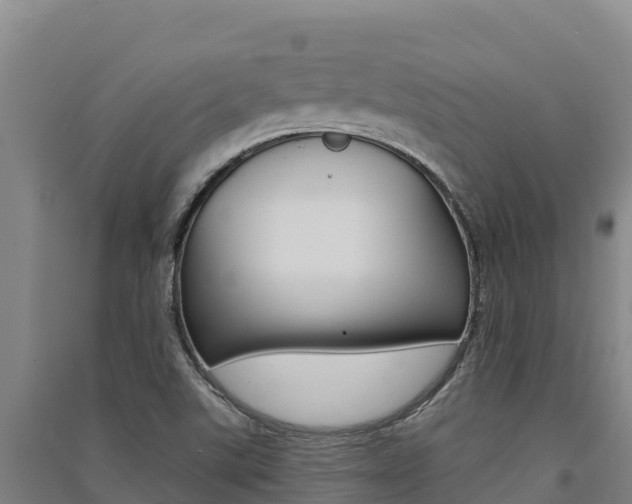 X0000091561507200708171050