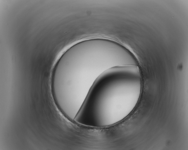 X0000091561508200708171050