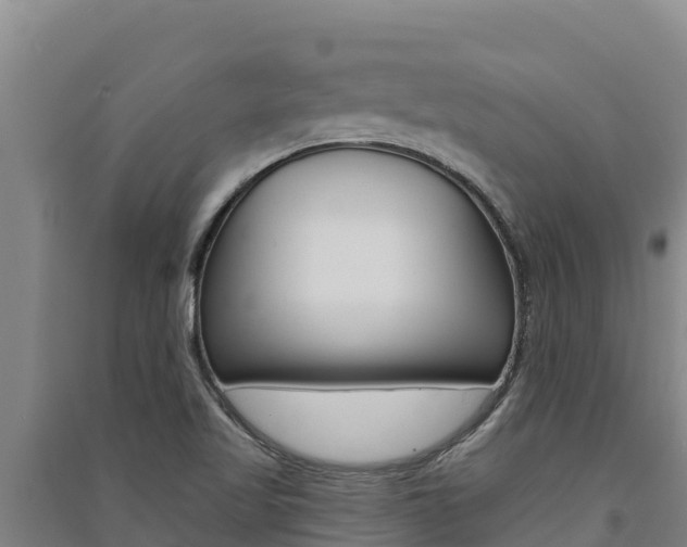 X0000091561509200708171050