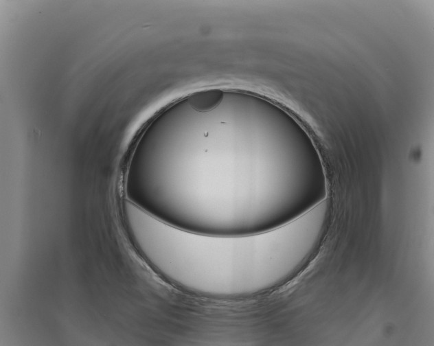 X0000091561510200708171050