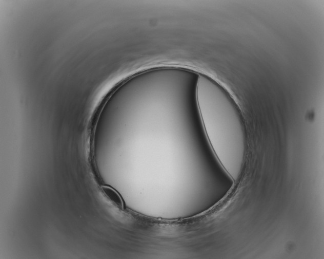 X0000091561511200708171050