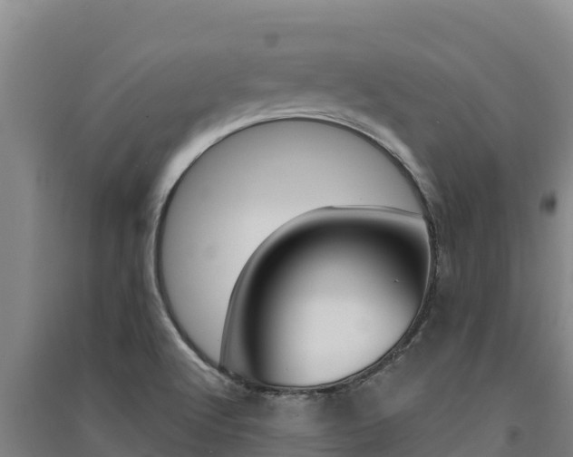 X0000091561512200708171050