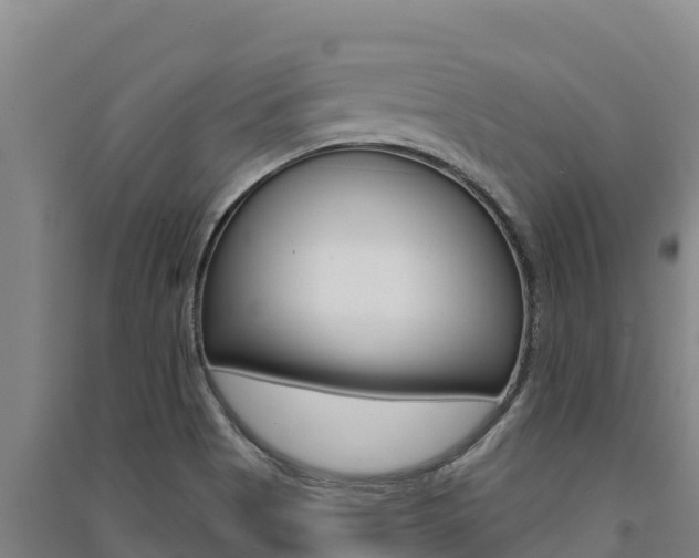 X0000091561513200708171050