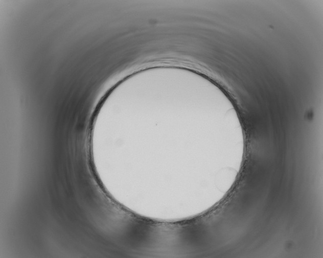 X0000091561514200708171050