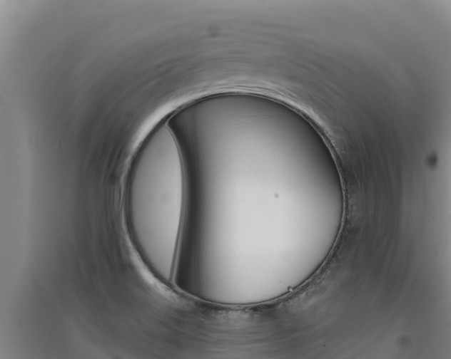 X0000091561515200708171050