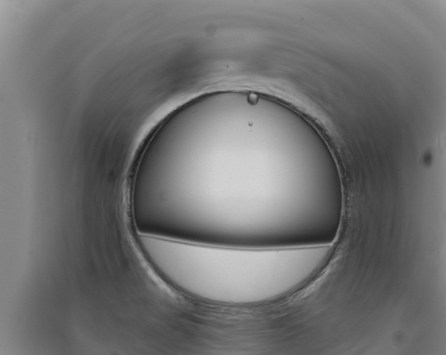 X0000091561517200708171050