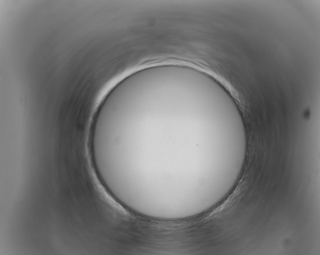 X0000091561518200708171050