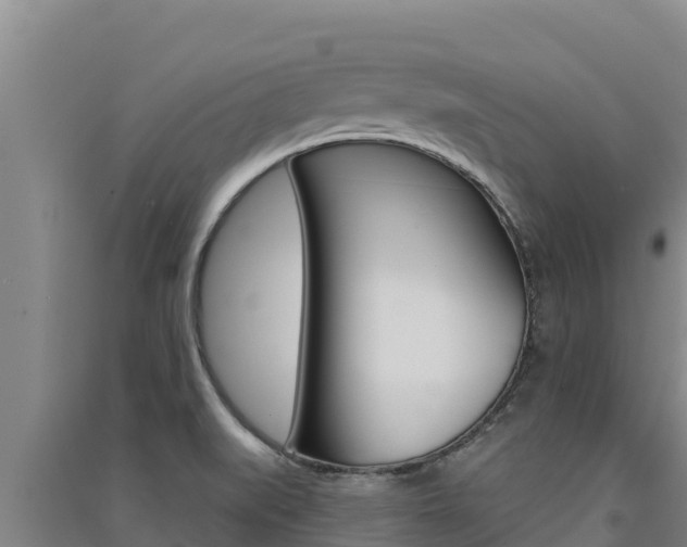 X0000091561519200708171050