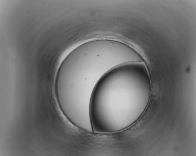 X0000091561520200708171050
