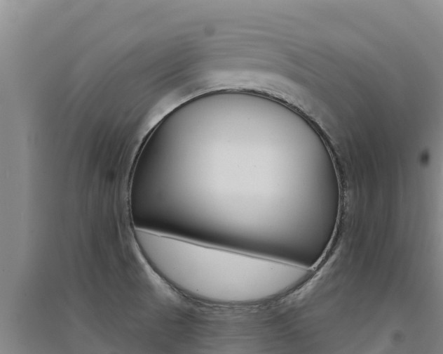 X0000091561521200708171050