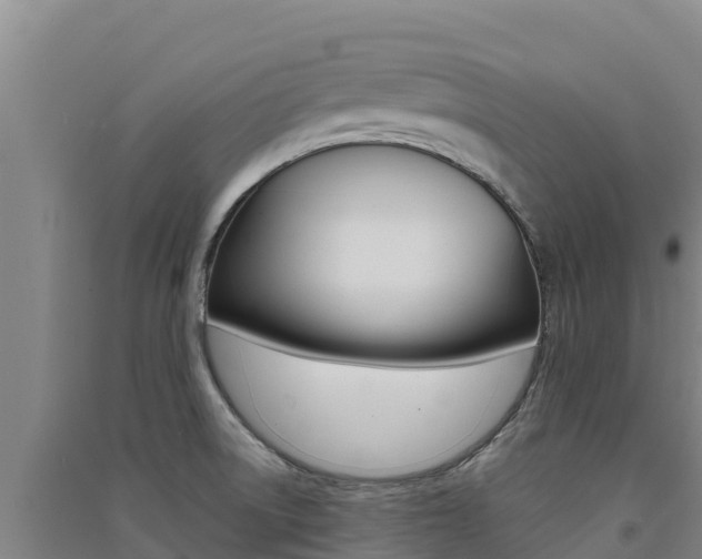X0000091561522200708171050