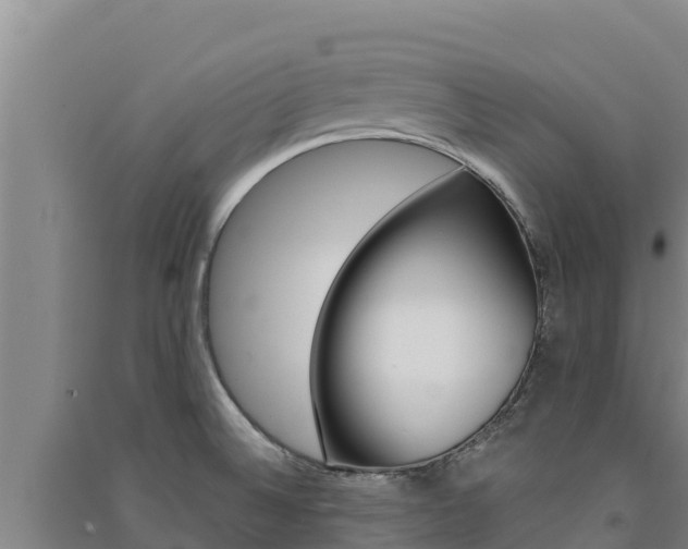 X0000091561524200708171050