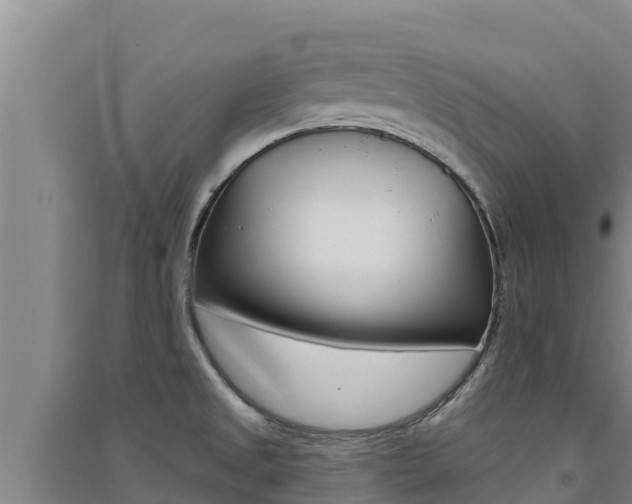 X0000091561525200708171050