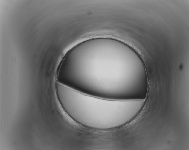 X0000091561526200708171050