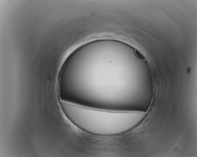 X0000091561527200708171050