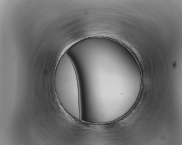 X0000091561529200708171051