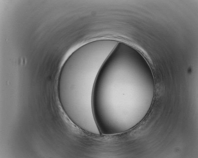 X0000091561530200708171051